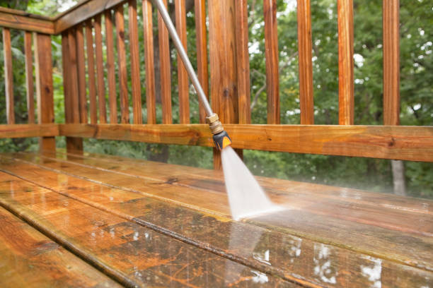 Best Deck Cleaning Services  in Palo, IA